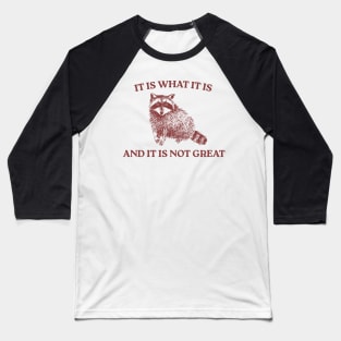 It Is What It Is And It Is Not Great Baseball T-Shirt